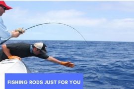 6 Best Fishing Rods Just for You