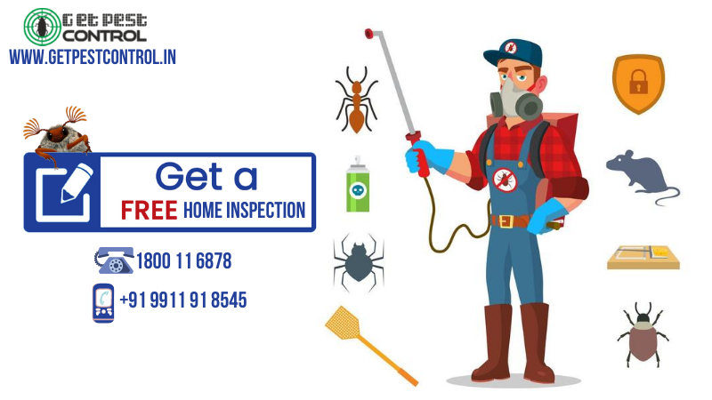 7 things to consider for hiring the best pest control professional