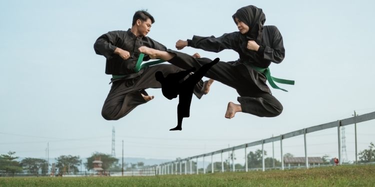 The Beauty Of Martial Arts