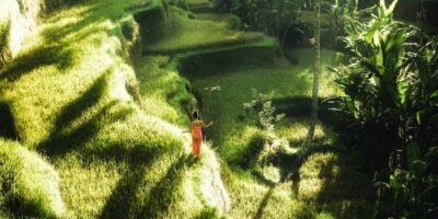 Balanced Ecosystem With Organic Farming And Importance