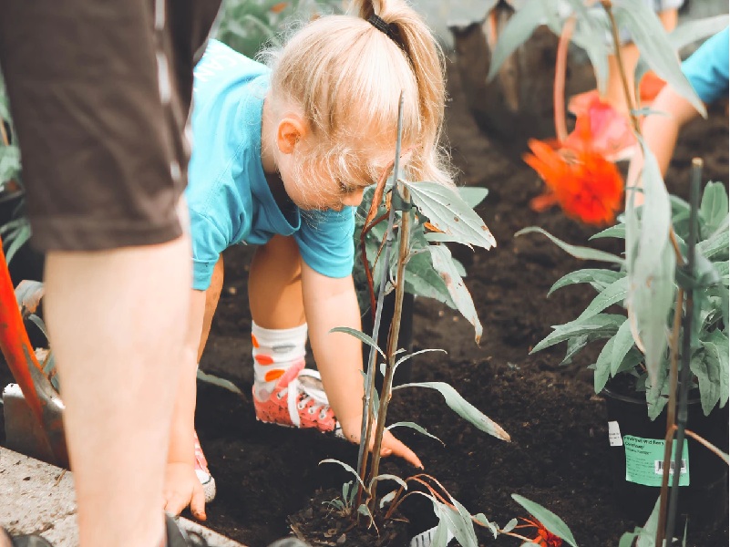 Benefits of Planting Trees