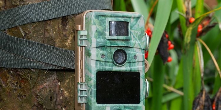 What is Trail Camera and why you should buy it?