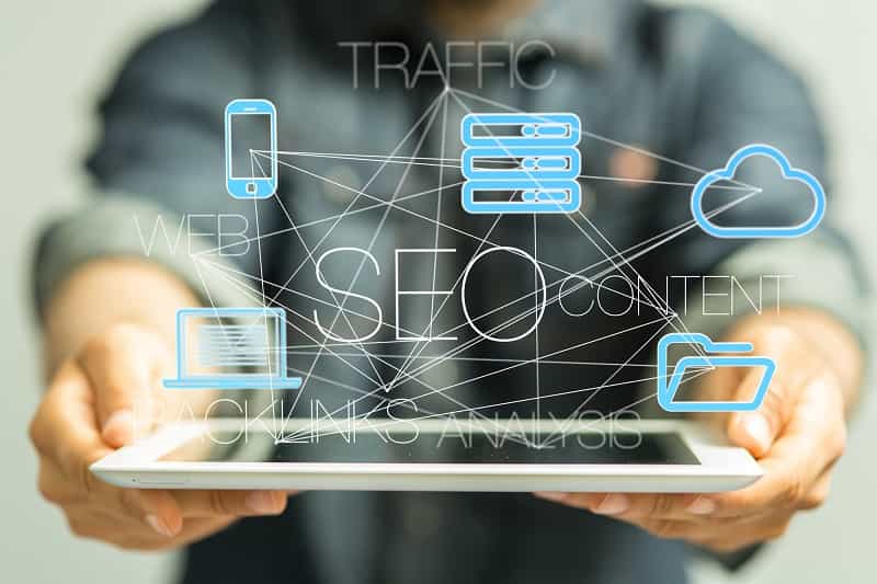 SEO professionals
