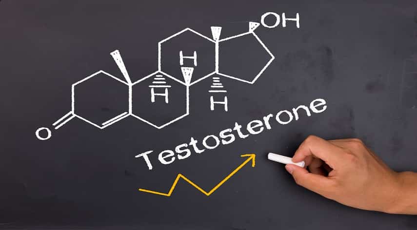 testosterone levels