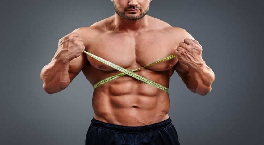 Build Muscle Fast