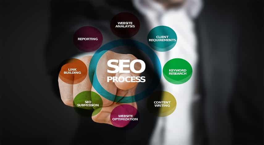 seo expert
