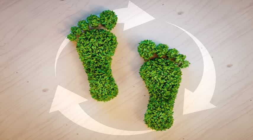 5 Ways to Reduce Your Carbon Footprint at Home