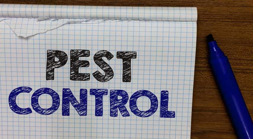 Pest Control Tips