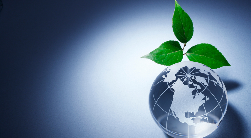 Signs of a Toxic Workplace: How to Recognize and Address the Issue