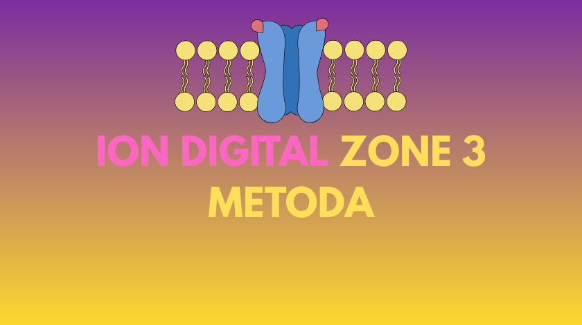 ion digital zone 3 metoda